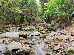 -香炉山国家森林公园