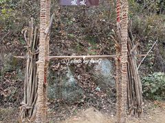 -千年银杏谷文化旅游区