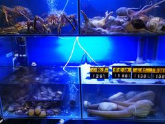 水产区-金龙·打边炉(武进路店)