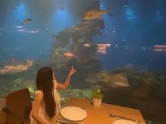 -海棠湾洲际-涛·海底餐厅·美人鱼·自助餐·海底隧道