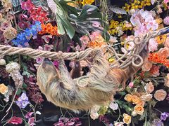 -正佳雨林生态植物园