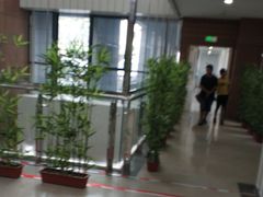 -首都医科大学附属北京潞河医院