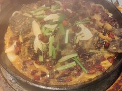 -老板恋上鱼(印象城店)