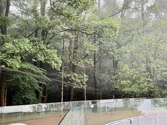 -缙云山景区