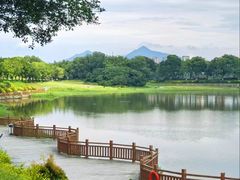 -风云岭森林公园