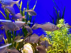 -上海海洋水族馆