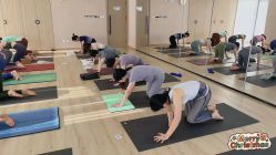 -酉嘉瑜伽YO+YOGA