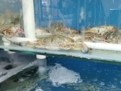 -渔民船说·北塘海鲜·天津菜·海肠捞饭(北塘古镇店)
