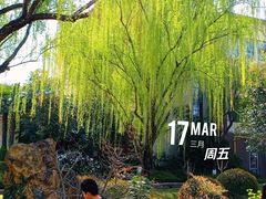 -西安国际创新人才交流中心•药浴温泉