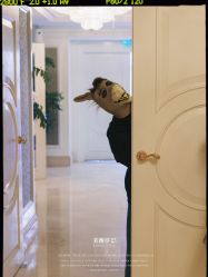 -美薇亭婚礼顾问