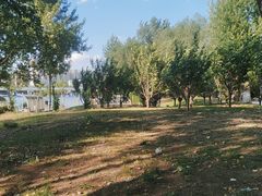 -长白岛森林公园