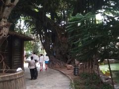 -龙达温泉生态城