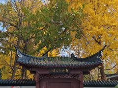 -郑和公园
