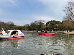 -上海方塔园
