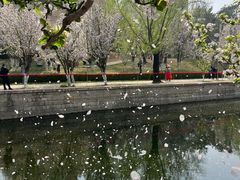 -元大都城垣遗址公园