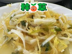 -东平国家森林公园