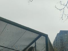 -郑州市动物园
