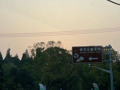-东平国家森林公园