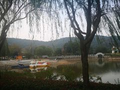 -龙寺生态园