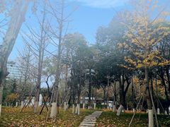 -莲湖公园