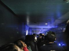 -白鹤梁水下博物馆