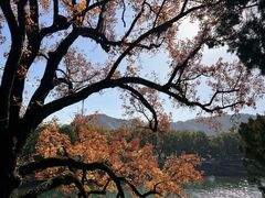 -蒋氏故居