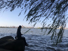 -瑶湖郊野森林公园