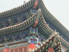 -大槐树寻根祭祖园
