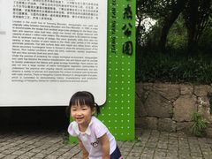 -西湖风景区-江洋畈生态公园