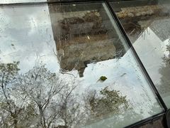 -北京路步行街-千年古道遗址