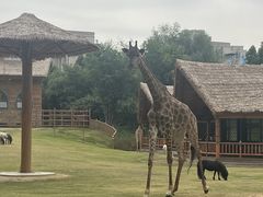 -郑州银基国际旅游度假区