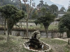 -中国大熊猫保护研究中心雅安碧峰峡基地