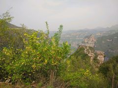 -山西通天峡景区