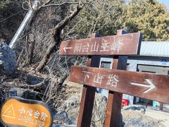 -阳台山自然风景区