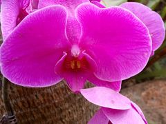 -南通洲际绿博园