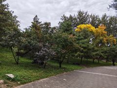 -元大都城垣遗址公园