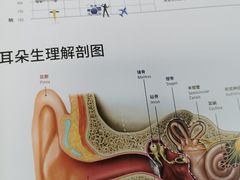 -宁耳听力助听器奥迪康·峰力·西门子(宝山店)