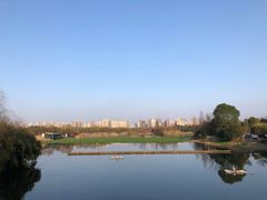 -洋湖国家湿地公园