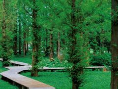 -国家植物园南园