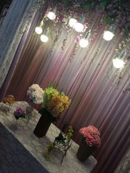 -保定金沙芝柏婚礼策划