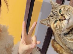 -龙华素斋(龙华路店)