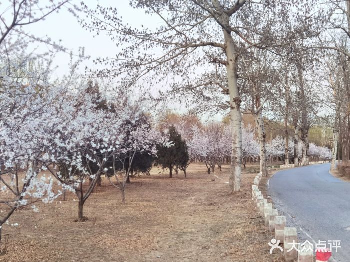 坝河休闲公园图片