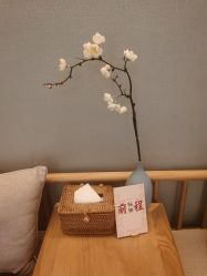 点击看大图 -梵隐SPA