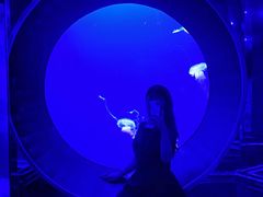 -成都浩海立方海洋公园