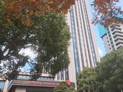 -上海宝华万豪酒店