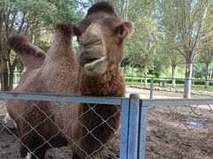 -长白岛森林公园