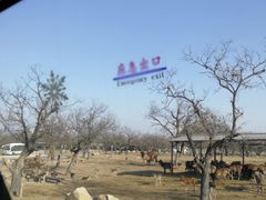 -西安秦岭野生动物园