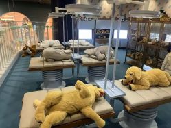 -奈尔宝·儿童乐园·亲子餐厅(鄞州万达店)