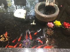 -樱蘭·影院足道·养生SPA(三里屯店)