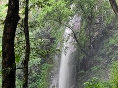 -莫里热带雨林景区